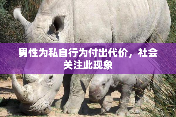 男性为私自行为付出代价，社会关注此现象