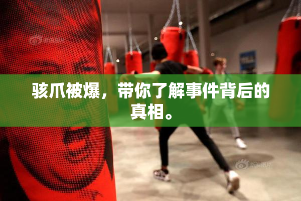 骇爪被爆，带你了解事件背后的真相。