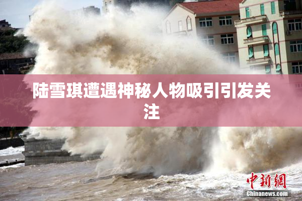 陆雪琪遭遇神秘人物吸引引发关注