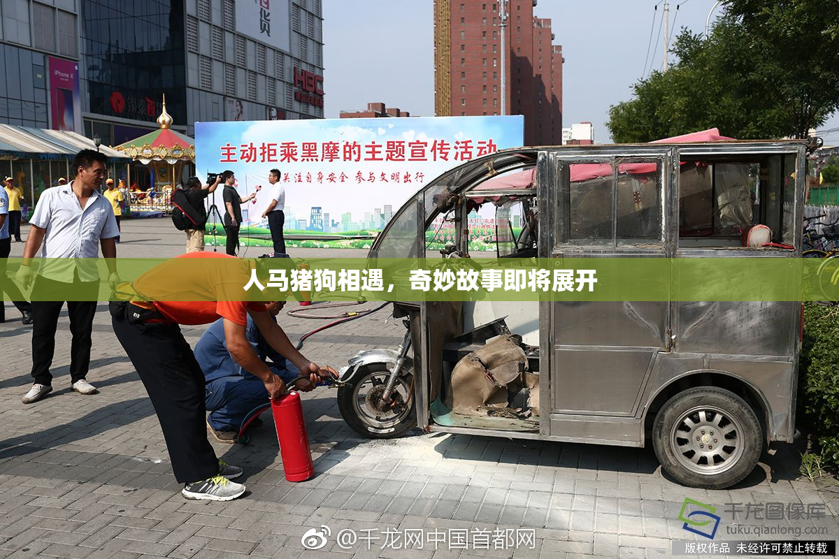 人马猪狗相遇，奇妙故事即将展开