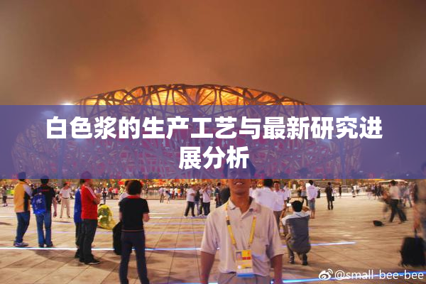 白色浆的生产工艺与最新研究进展分析