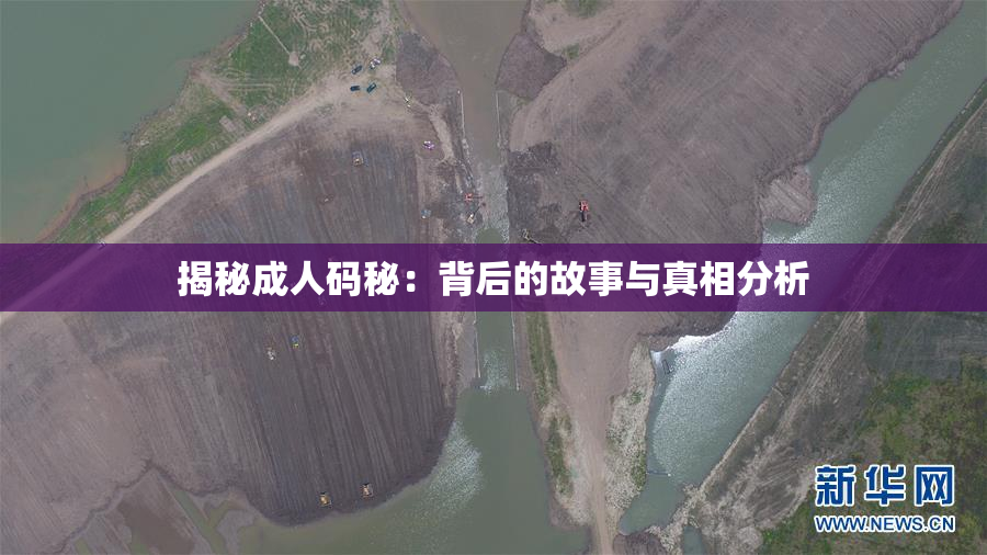 揭秘成人码秘：背后的故事与真相分析