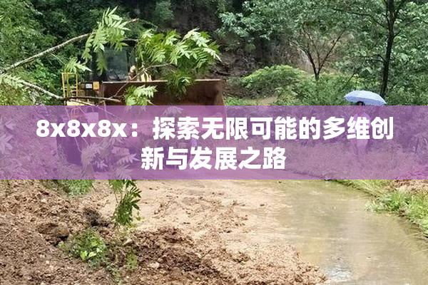 8x8x8x：探索无限可能的多维创新与发展之路