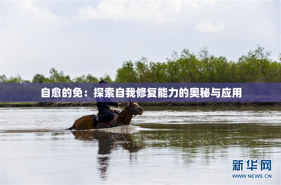 自愈的免：探索自我修复能力的奥秘与应用