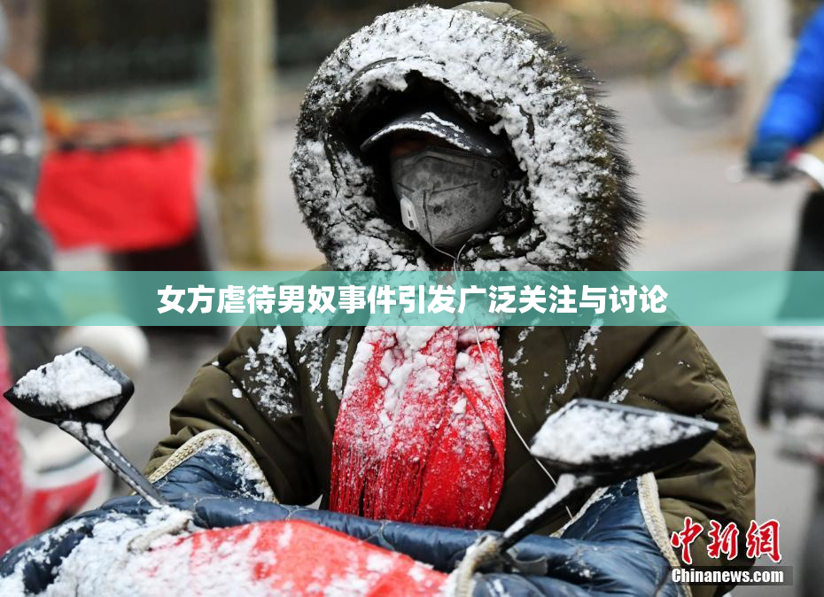 女方虐待男奴事件引发广泛关注与讨论