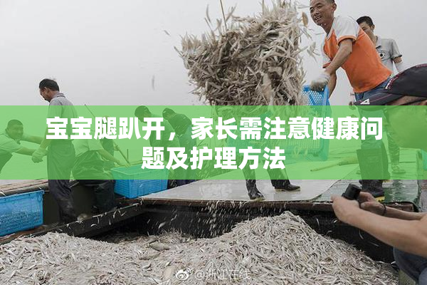 宝宝腿趴开，家长需注意健康问题及护理方法