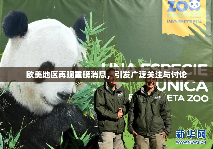 欧美地区再现重磅消息，引发广泛关注与讨论