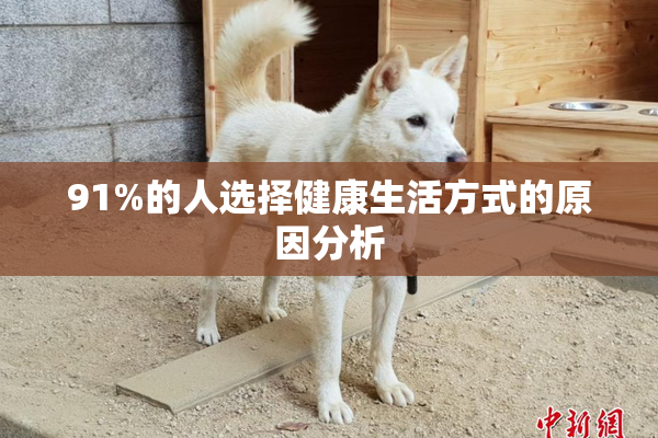 91%的人选择健康生活方式的原因分析