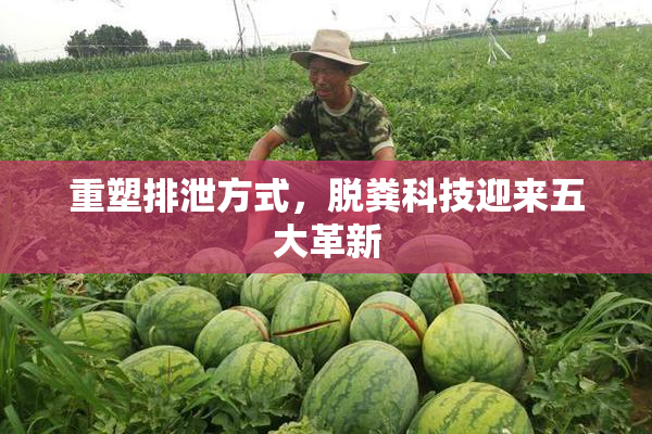重塑排泄方式，脱粪科技迎来五大革新
