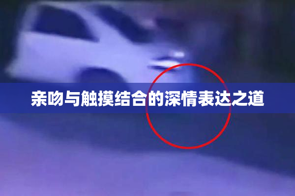 亲吻与触摸结合的深情表达之道