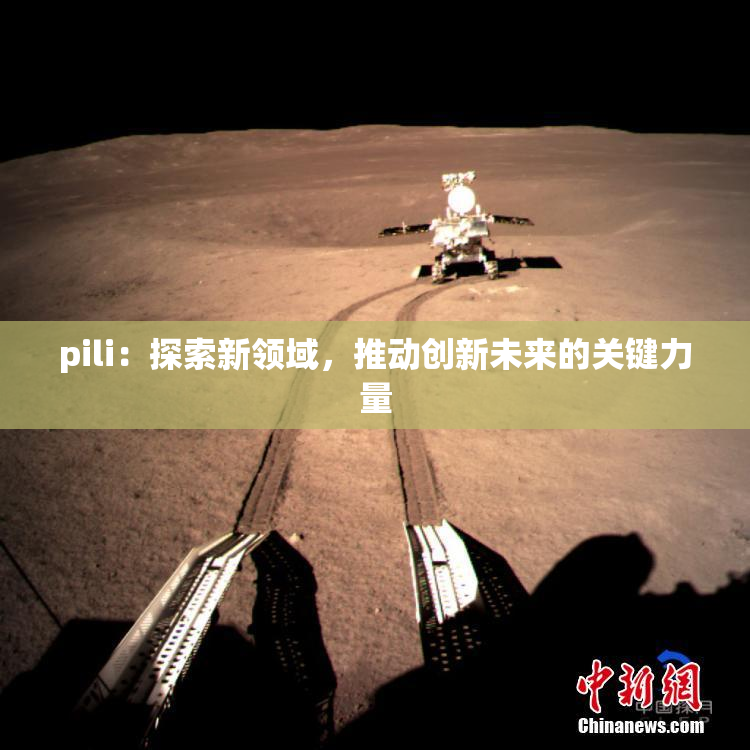 pili：探索新领域，推动创新未来的关键力量