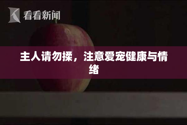 主人请勿揉，注意爱宠健康与情绪