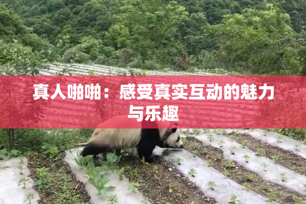 真人啪啪：感受真实互动的魅力与乐趣