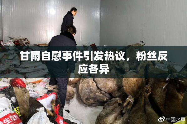 甘雨自慰事件引发热议，粉丝反应各异