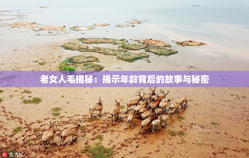 老女人毛揭秘：揭示年龄背后的故事与秘密