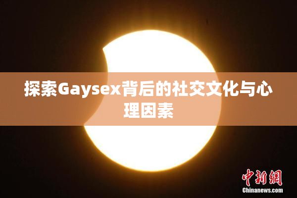 探索Gaysex背后的社交文化与心理因素