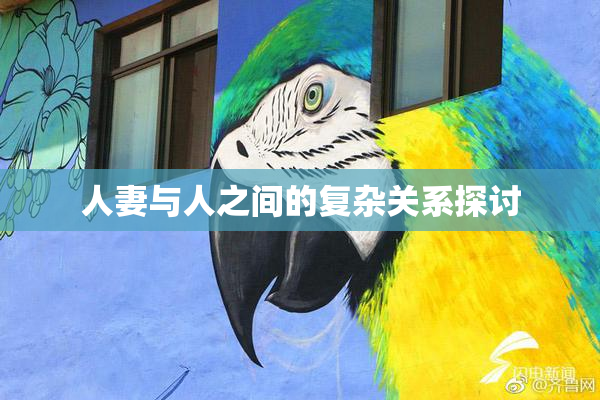 人妻与人之间的复杂关系探讨