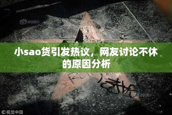 小sao货引发热议，网友讨论不休的原因分析