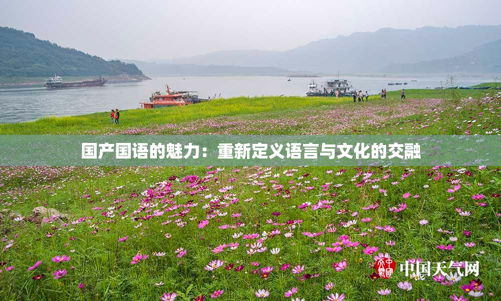 国产国语的魅力：重新定义语言与文化的交融