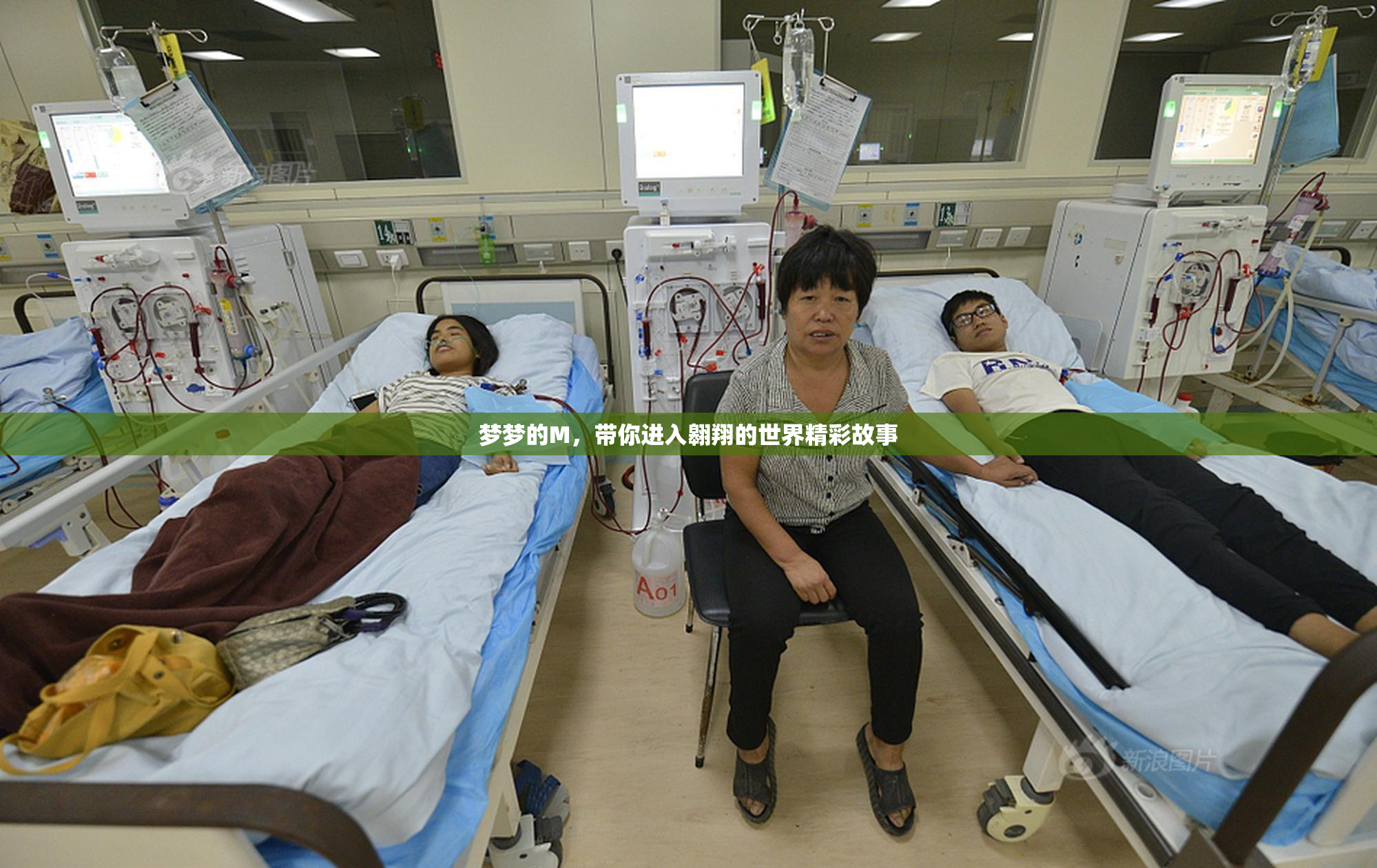 梦梦的M，带你进入翱翔的世界精彩故事