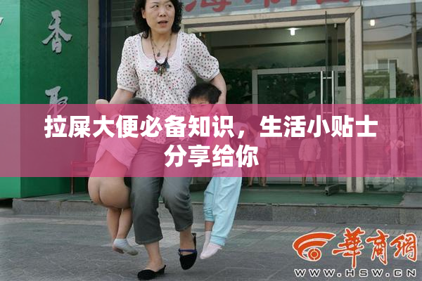 拉屎大便必备知识，生活小贴士分享给你