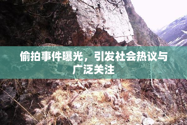 偷拍事件曝光，引发社会热议与广泛关注