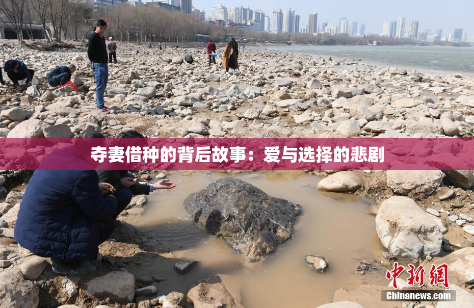 夺妻借种的背后故事：爱与选择的悲剧