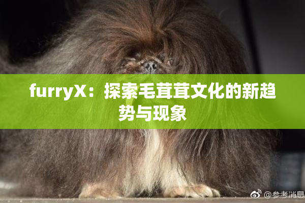 furryX：探索毛茸茸文化的新趋势与现象