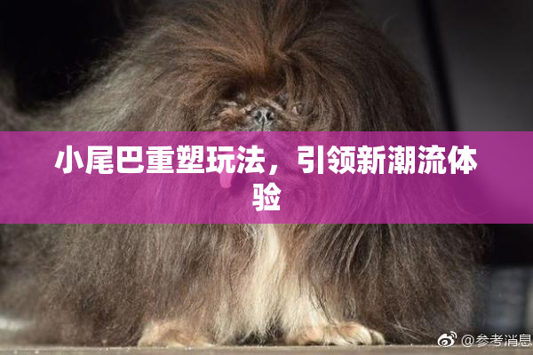 小尾巴重塑玩法，引领新潮流体验