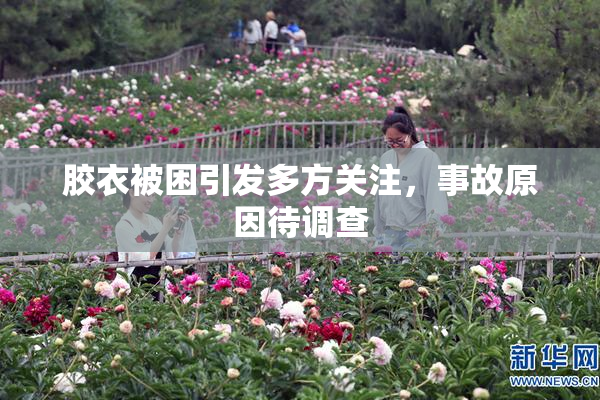 胶衣被困引发多方关注，事故原因待调查