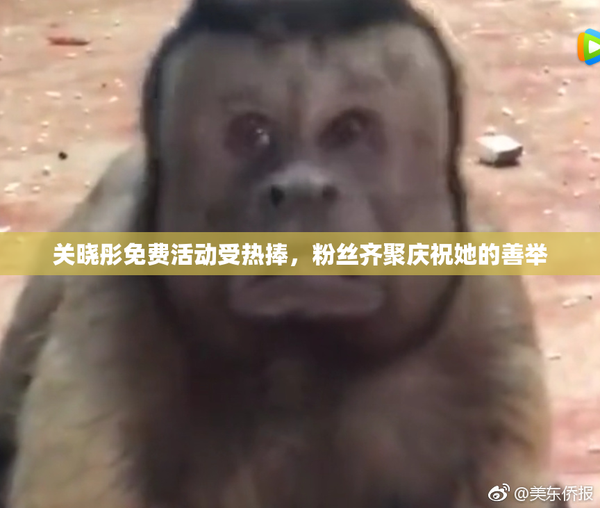 关晓彤免费活动受热捧，粉丝齐聚庆祝她的善举