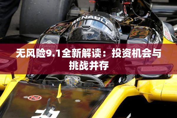 无风险9.1全新解读：投资机会与挑战并存