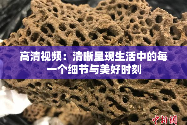 高清视频：清晰呈现生活中的每一个细节与美好时刻
