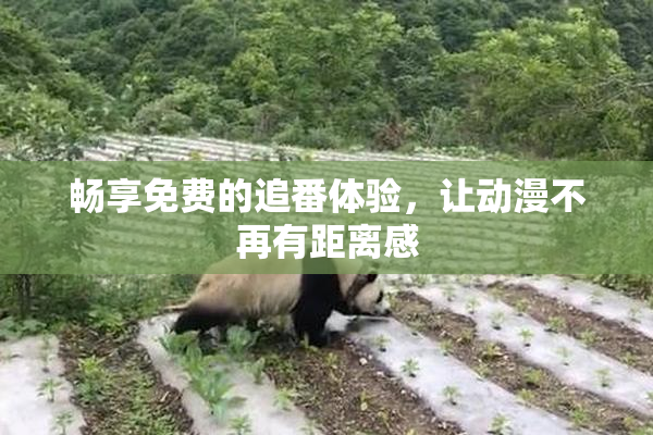 畅享免费的追番体验，让动漫不再有距离感