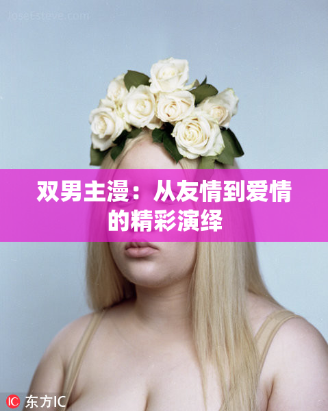 双男主漫：从友情到爱情的精彩演绎