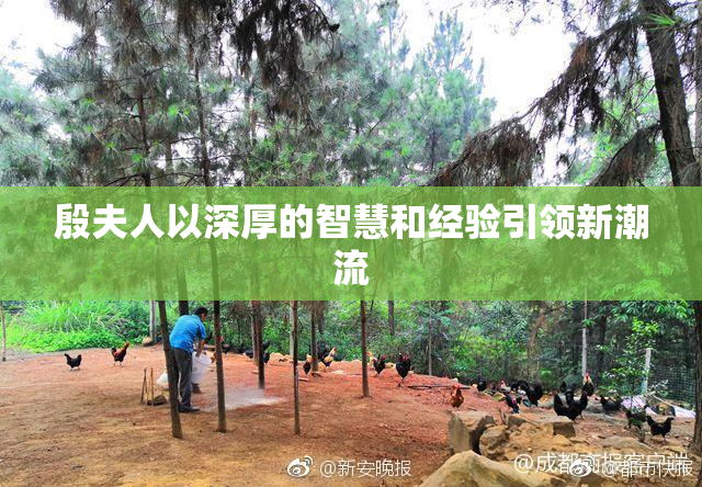 殷夫人以深厚的智慧和经验引领新潮流