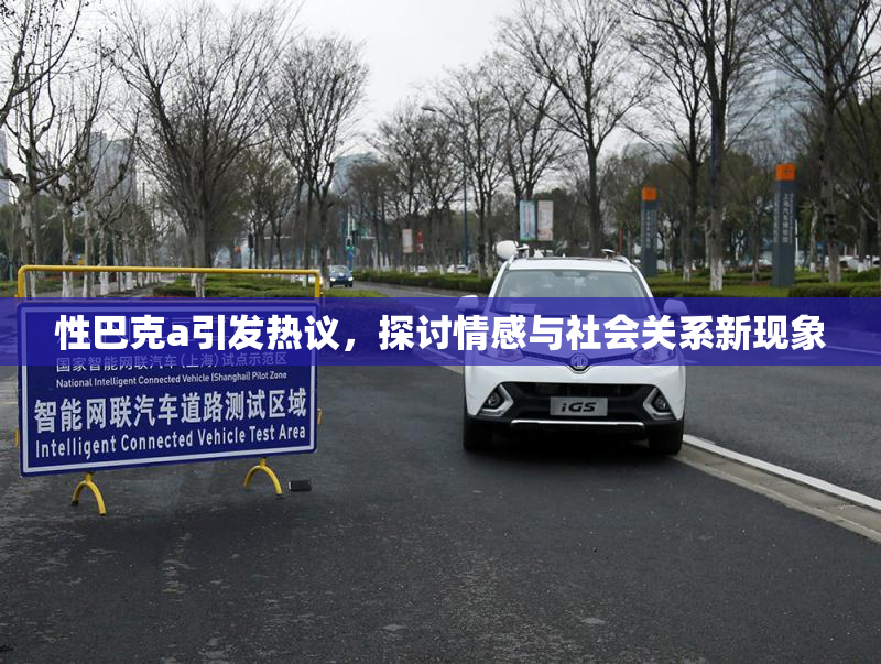 性巴克a引发热议，探讨情感与社会关系新现象