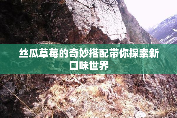 丝瓜草莓的奇妙搭配带你探索新口味世界