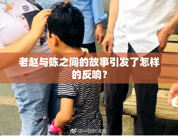 老赵与陈之间的故事引发了怎样的反响？