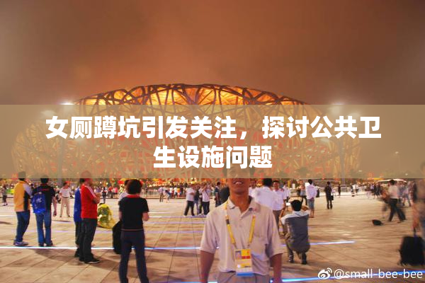 女厕蹲坑引发关注，探讨公共卫生设施问题