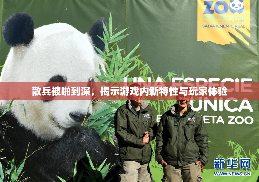 散兵被啪到深，揭示游戏内新特性与玩家体验