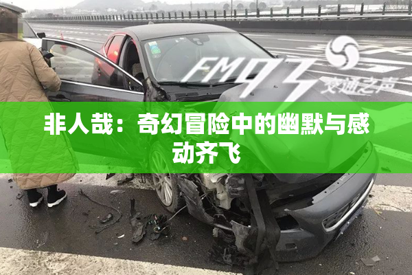 非人哉：奇幻冒险中的幽默与感动齐飞
