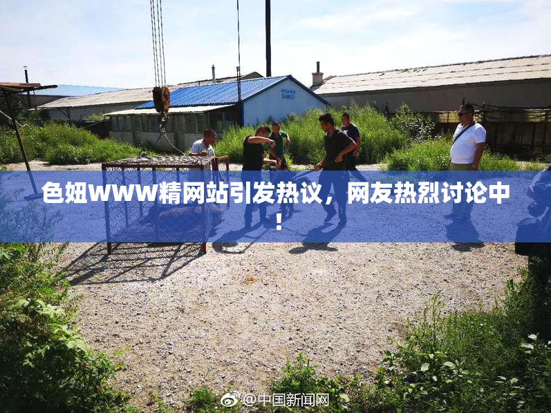 色妞WWW精网站引发热议，网友热烈讨论中！