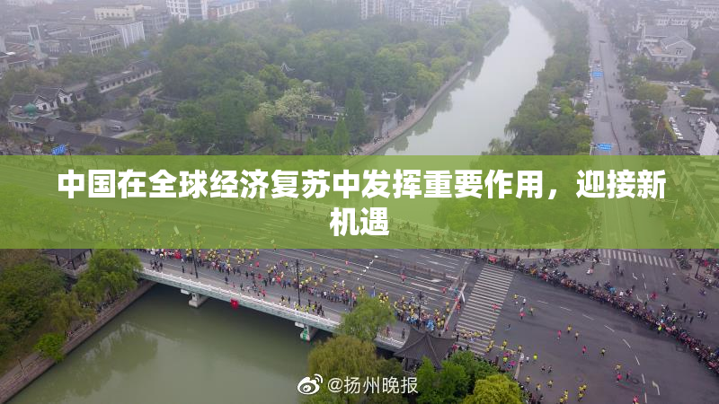 中国在全球经济复苏中发挥重要作用，迎接新机遇