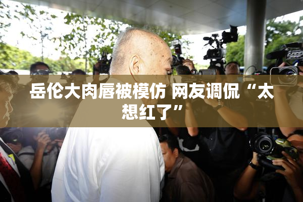 岳伦大肉唇被模仿 网友调侃“太想红了”