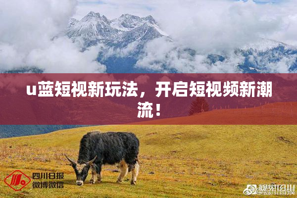 u蓝短视新玩法，开启短视频新潮流！