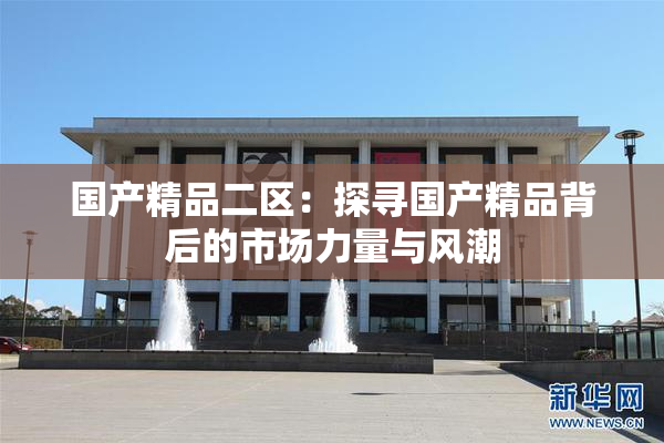国产精品二区：探寻国产精品背后的市场力量与风潮