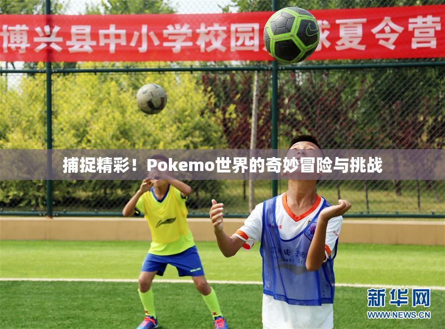 捕捉精彩！Pokemo世界的奇妙冒险与挑战