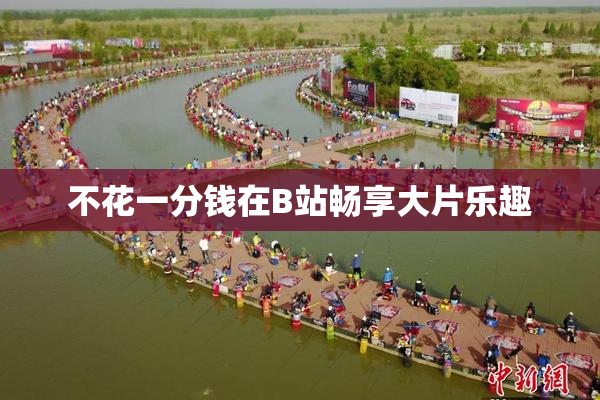 不花一分钱在B站畅享大片乐趣