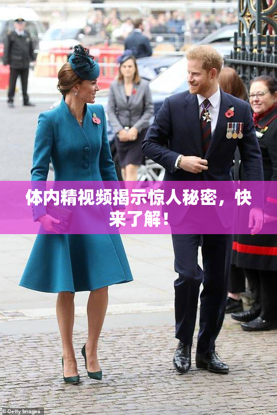 体内精视频揭示惊人秘密，快来了解！